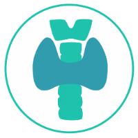 THYROID FUNCTION CHECK